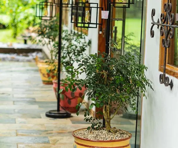Hotel Hacienda La Norma Boho Boutique